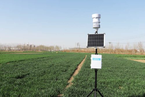 Is There a Difference Between a Rain Gauge and a Rain Sensor?