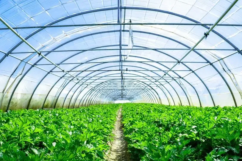 Smart Agriculture