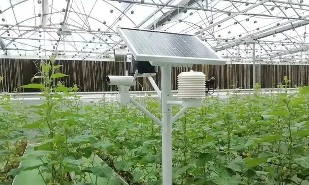 weather station for farmers