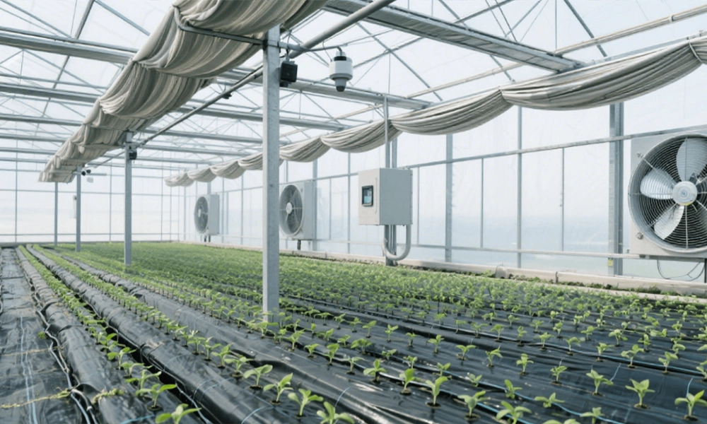 weather station for farmers