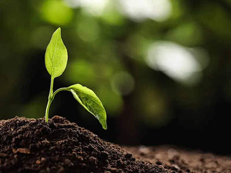 Contrôleur de température de serre