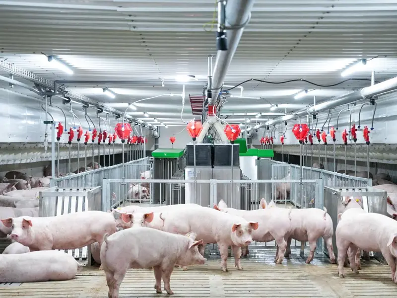 Poljoprivredna rješenja