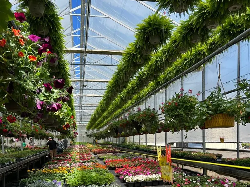 Greenhouse Temperature Controller