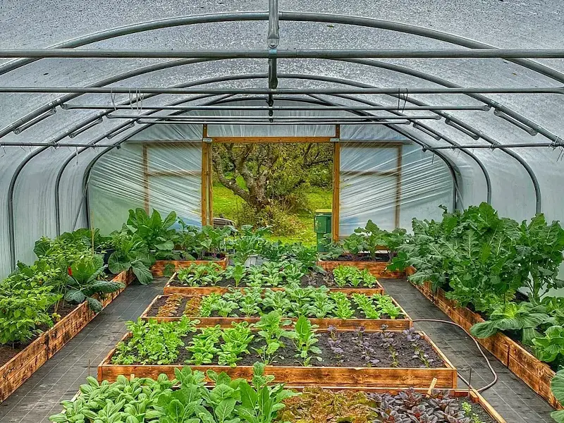 Soil temperature and humidity integrated sensor