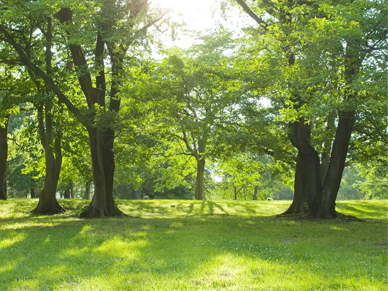Solar Radiation Sensors Pyranometers