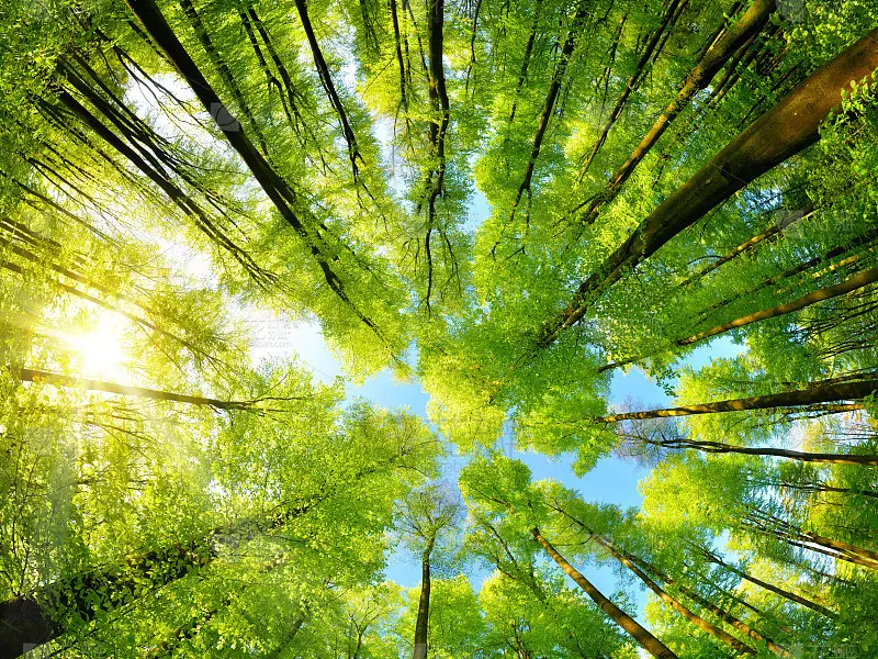 Тръбен инструмент за мониторинг на почвата