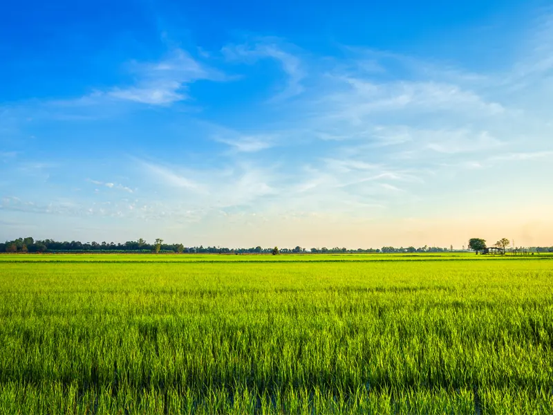 Solutions de surveillance météorologique