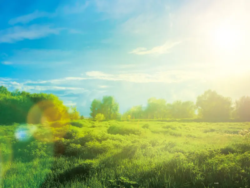 photosynthetic radiation sensor