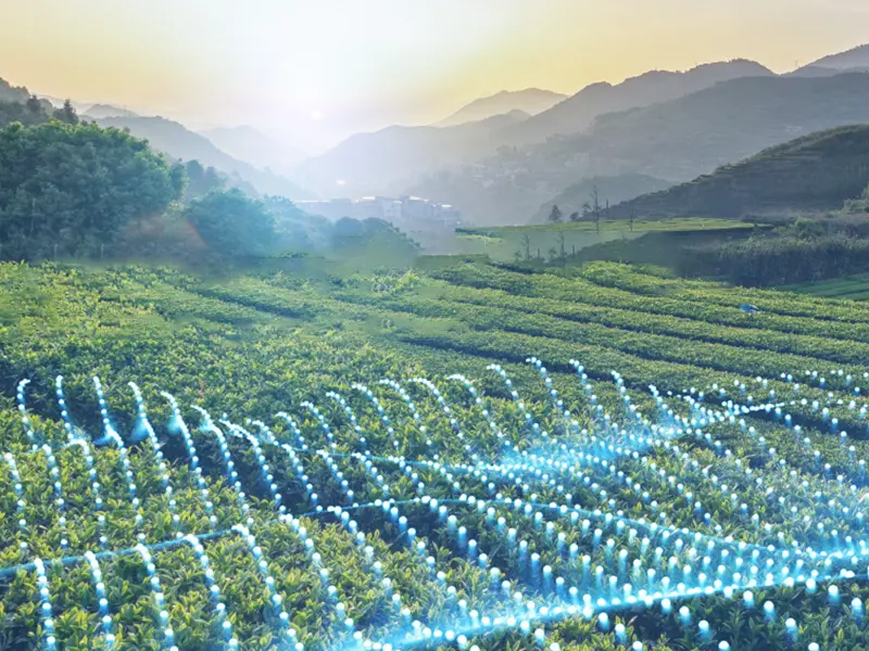 smart temperature sensor