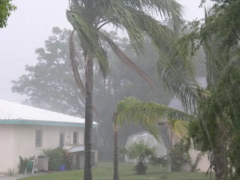 integrated wind speed and direction sensor