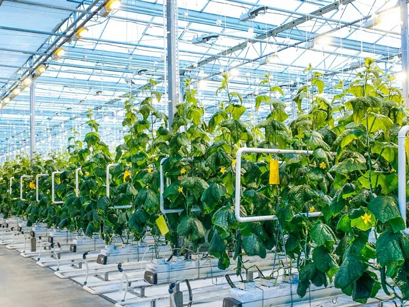 integrated wind speed and direction sensor