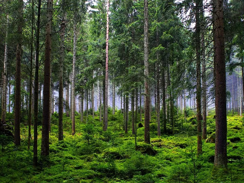solar monitoring weather station