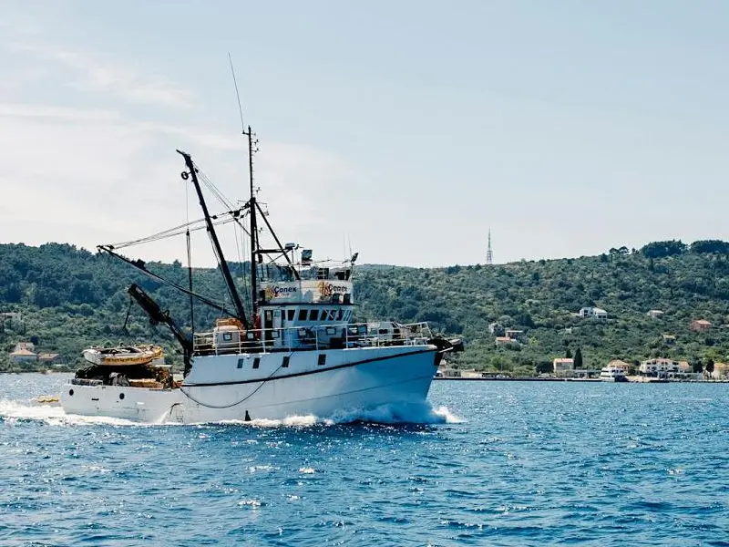 wind-direction-sensor