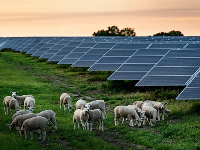 DustLV Photovoltaic Module Pollution Status Monitor