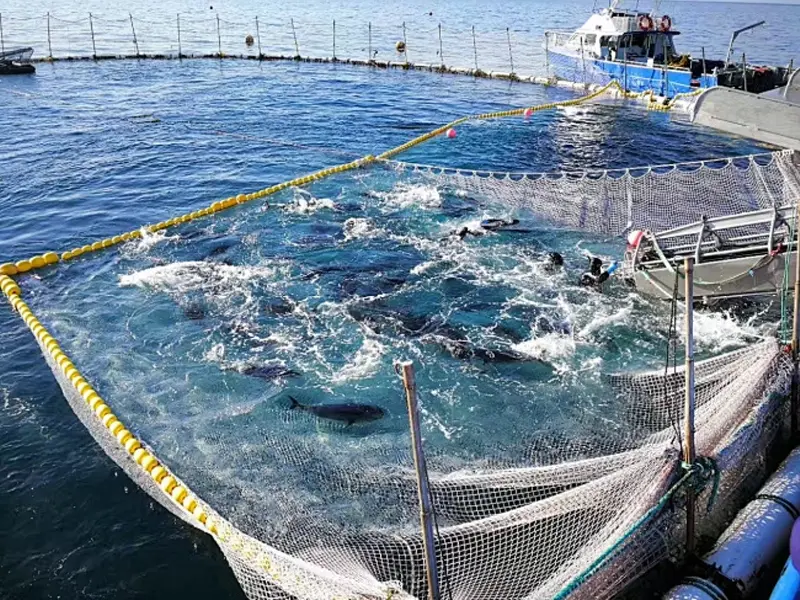 Water Quality Sensor