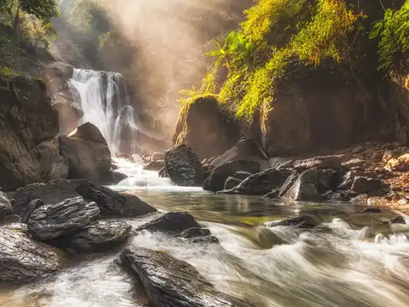 Water Quality Sensor