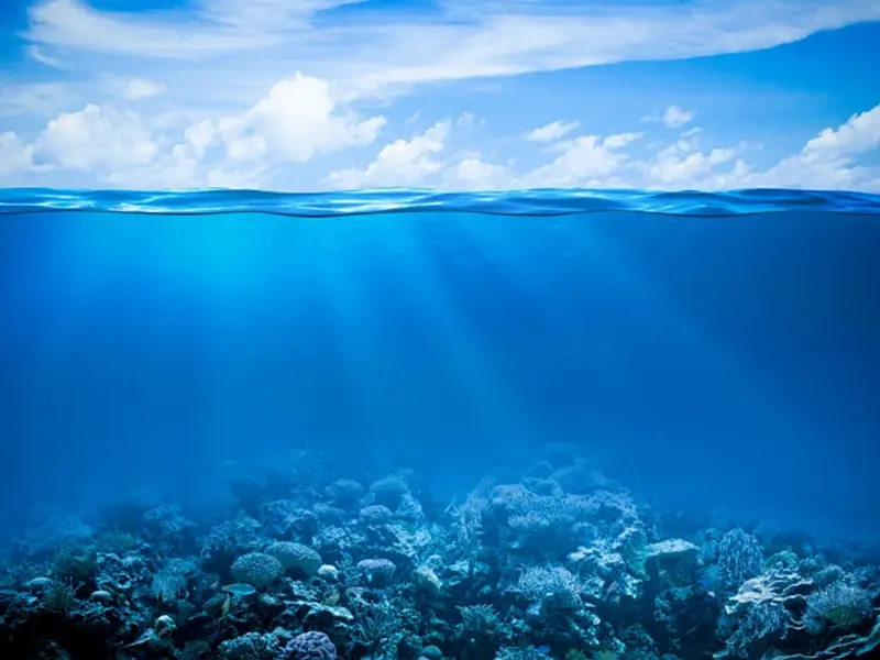 Water Quality Sensor