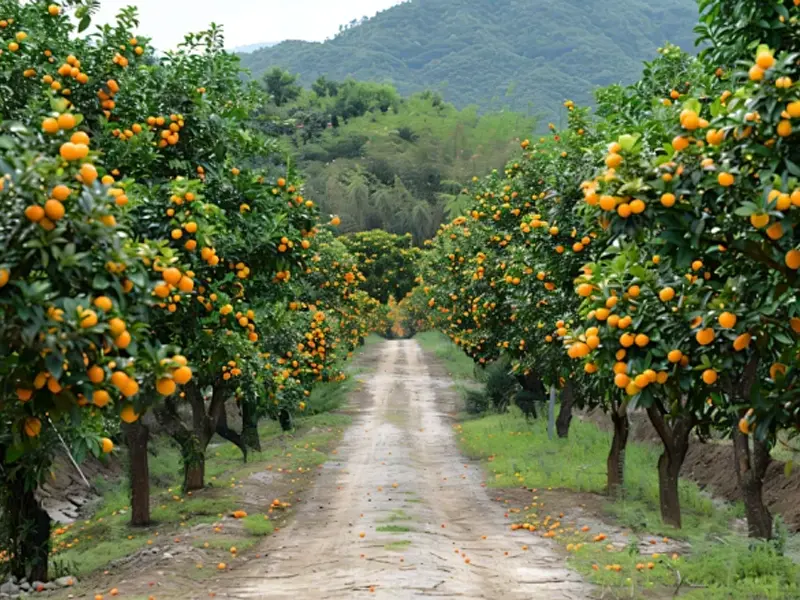 smart fertigation system