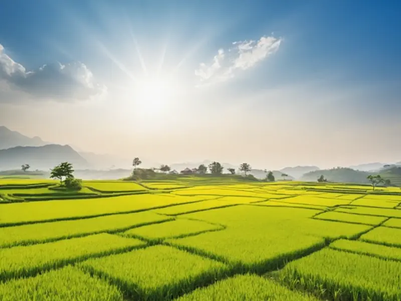 smart fertigation system