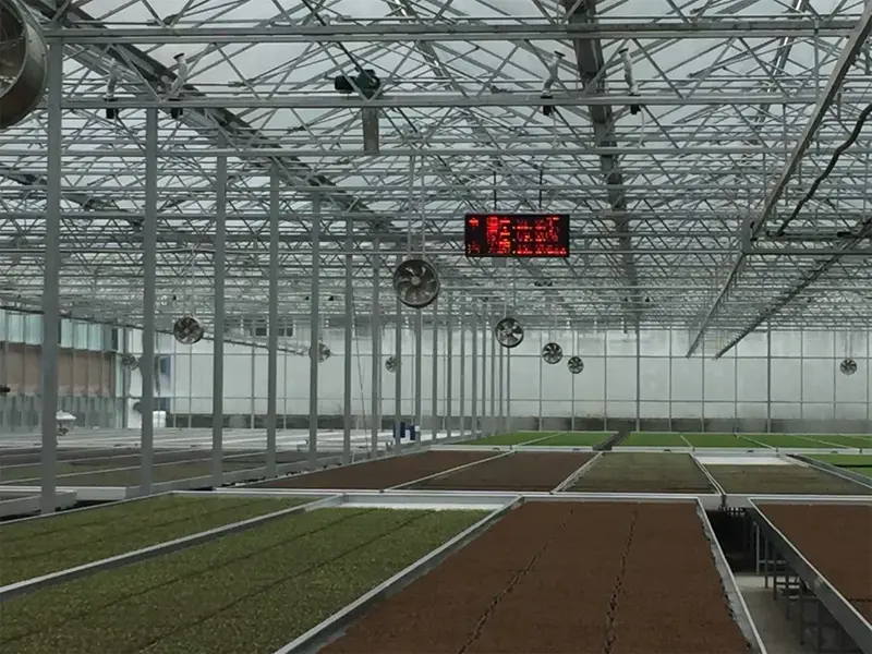 smart insect monitoring light