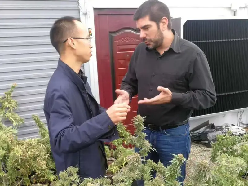 smart insect monitoring light