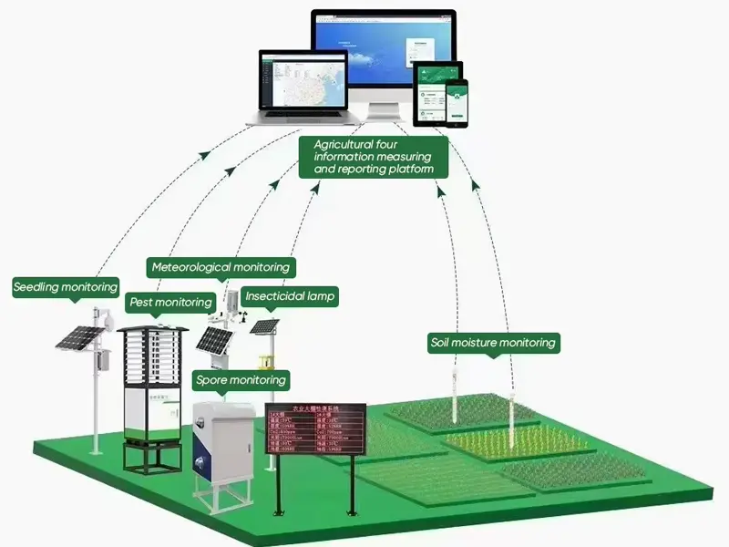 smart insect monitoring light
