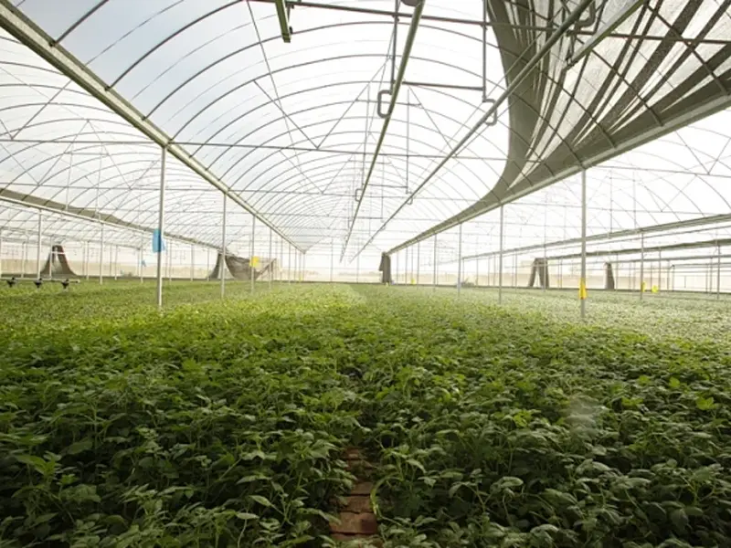 Agricultural Soil Moisture Sensor
