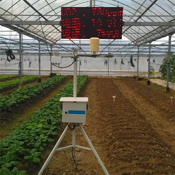 Greenhouse Compact Agricultural Weather Station