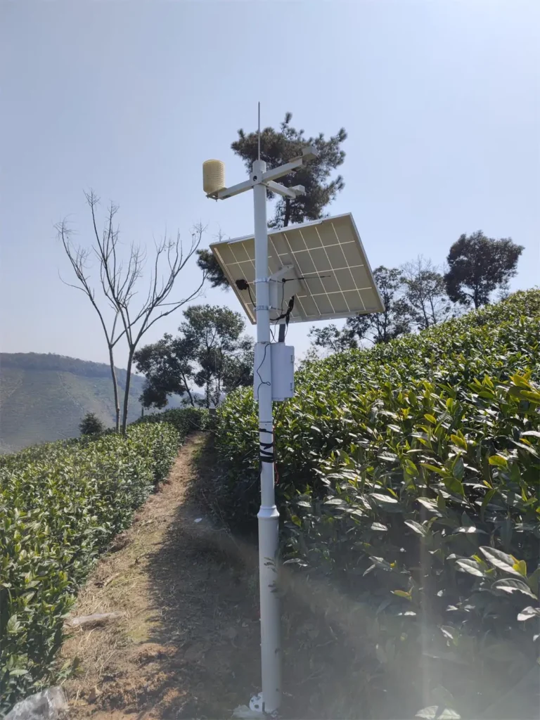 Smart Tea Garden Weather Monitoring System for Anhui Agricultural University