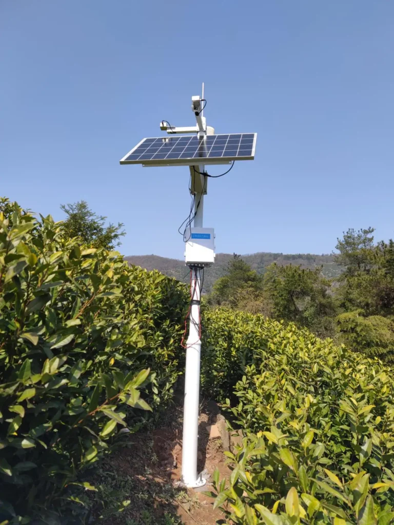 Smart Tea Garden Weather Monitoring System for Anhui Agricultural University