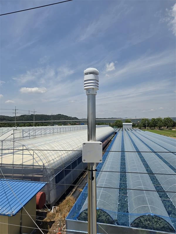 XF802 8-in-1 Compact Ultrasonic Weather Station