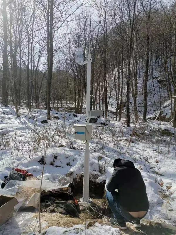 Luoyang, Henan Negative Air Ion Monitoring Station Project