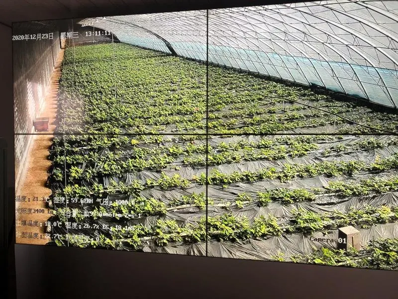 Shandong Smart Agriculture IoT Demonstration Base Weather Monitoring System Project