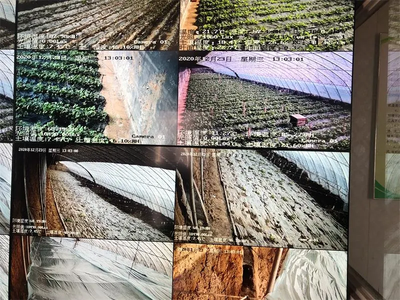 Shandong Smart Agriculture IoT Demonstration Base Weather Monitoring System Project