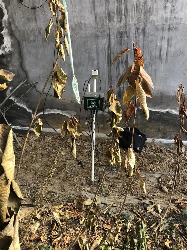 Shandong Smart Agriculture IoT Demonstration Base Weather Monitoring System Project