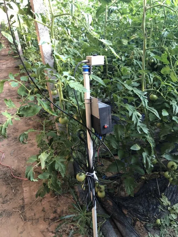 Shandong Smart Agriculture IoT Demonstration Base Weather Monitoring System Project