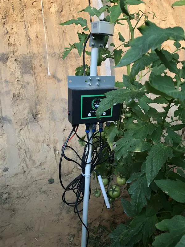 Shandong Smart Agriculture IoT Demonstration Base Weather Monitoring System Project