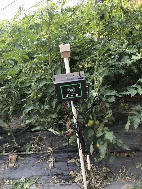 Shandong Smart Agriculture IoT Demonstration Base Weather Monitoring System Project