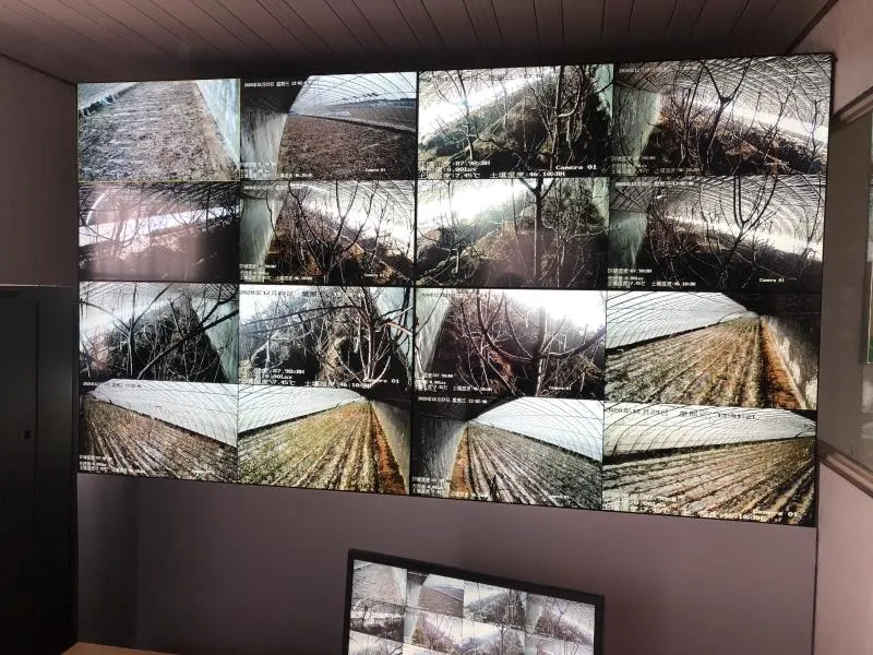 Shandong Smart Agriculture IoT Demonstration Base Weather Monitoring System Project